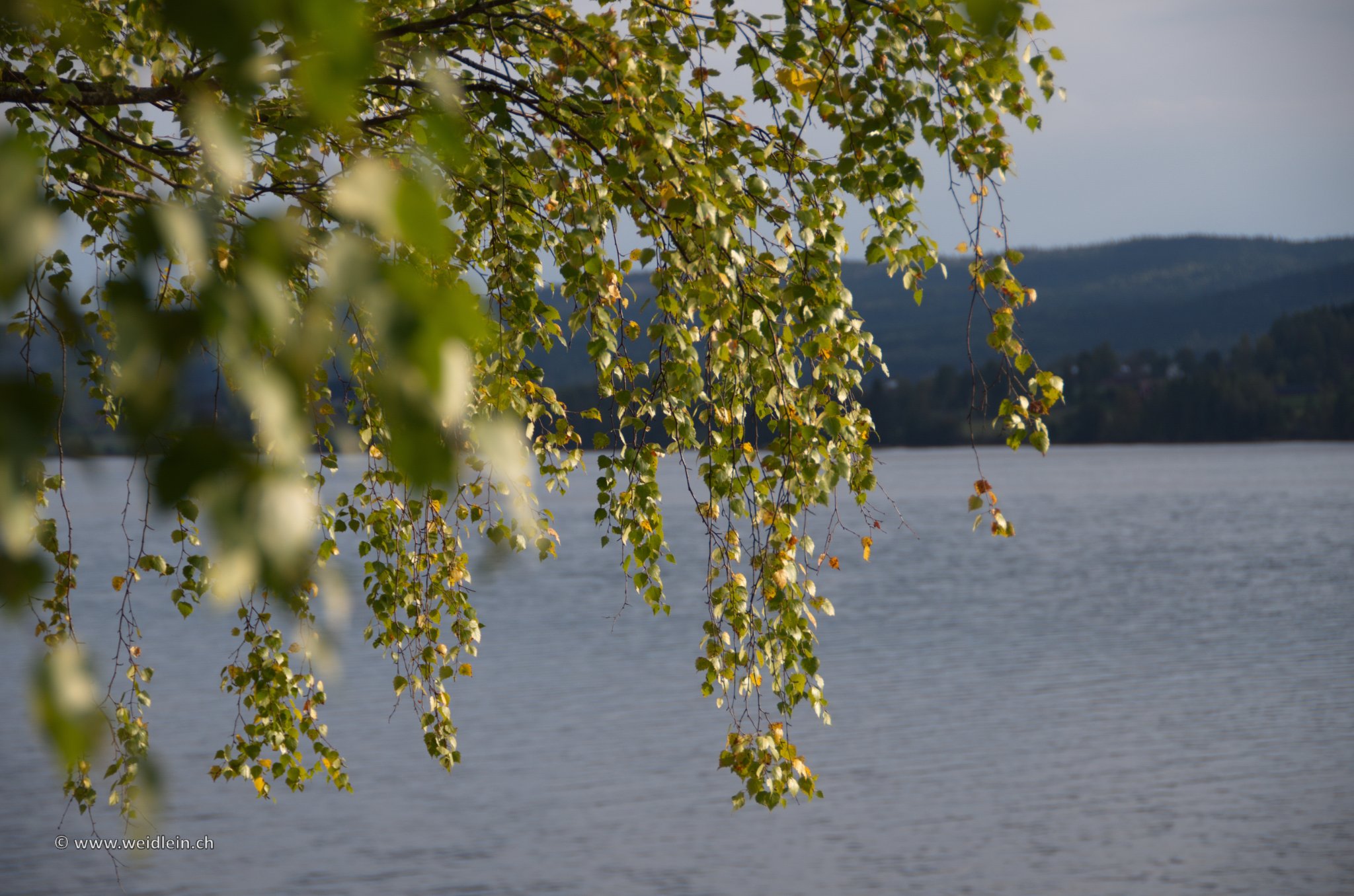 2013 Sweden 09