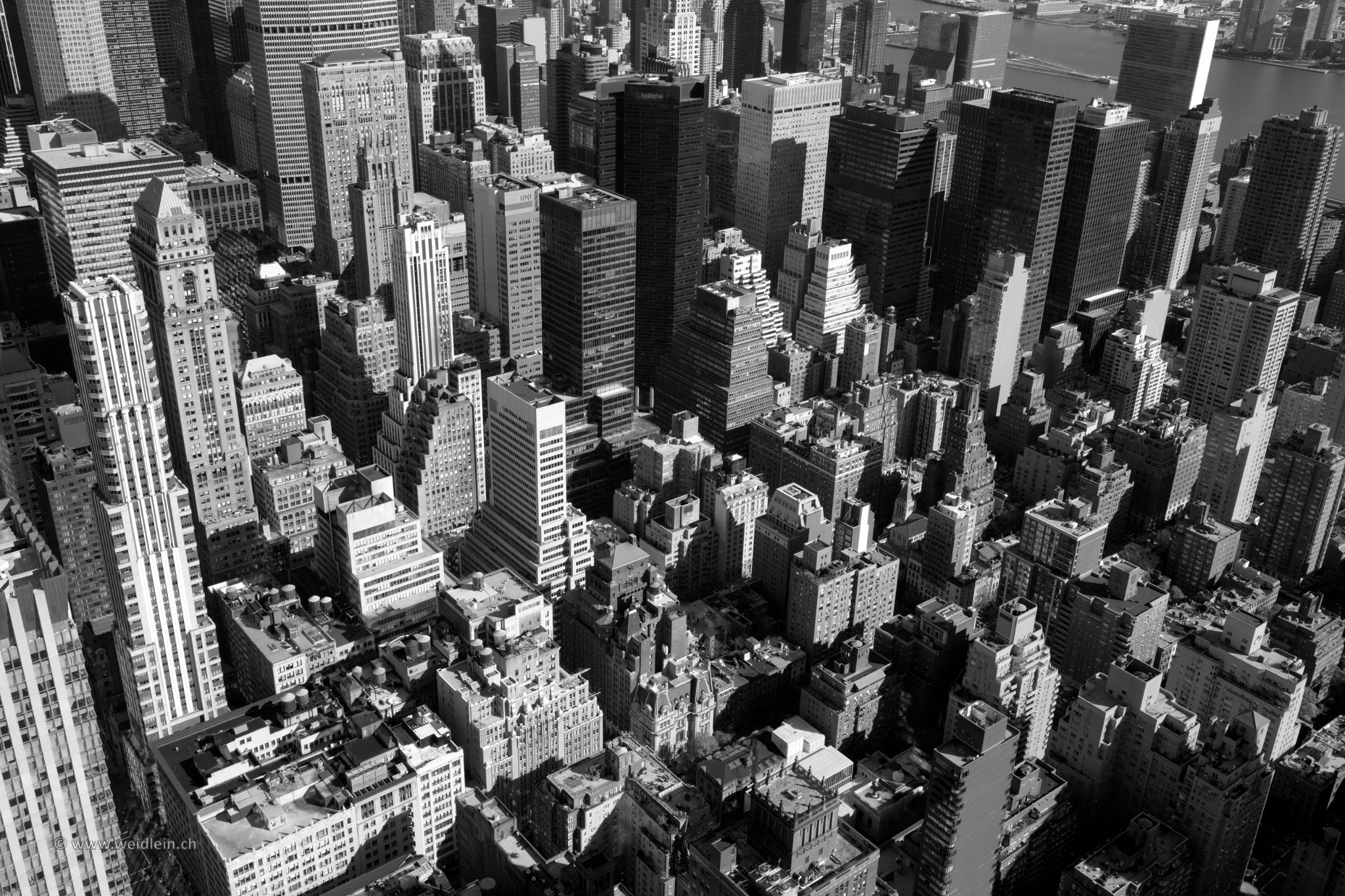 2014 NYC 12