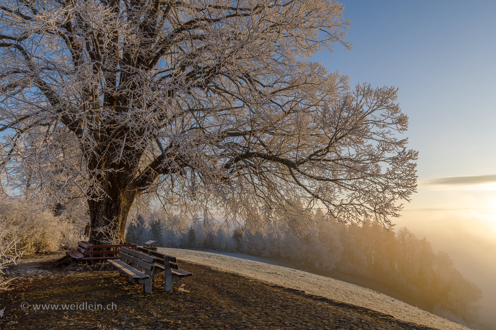 Winter Morning on Top of the Lueg