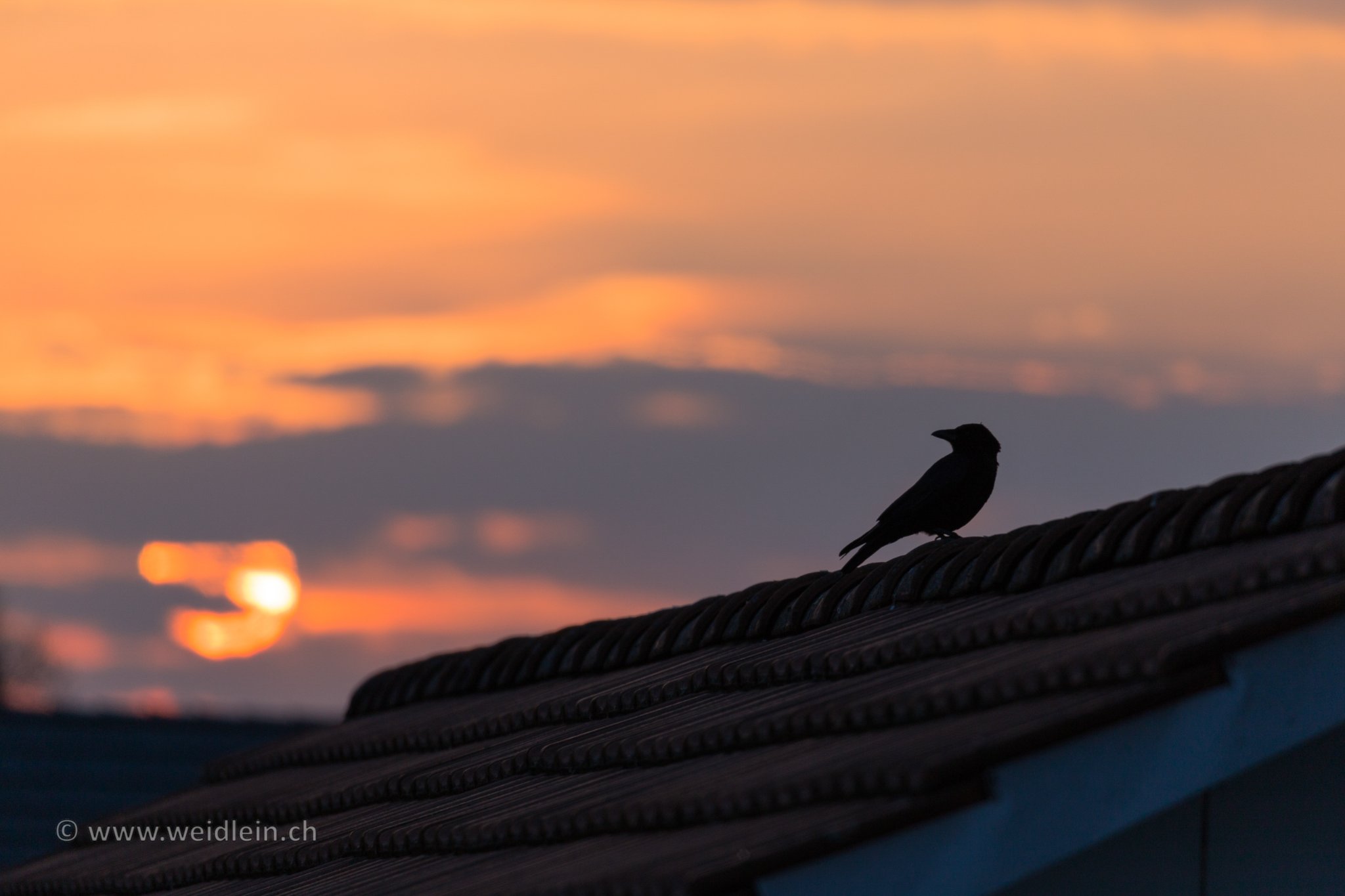 Sunset Moods