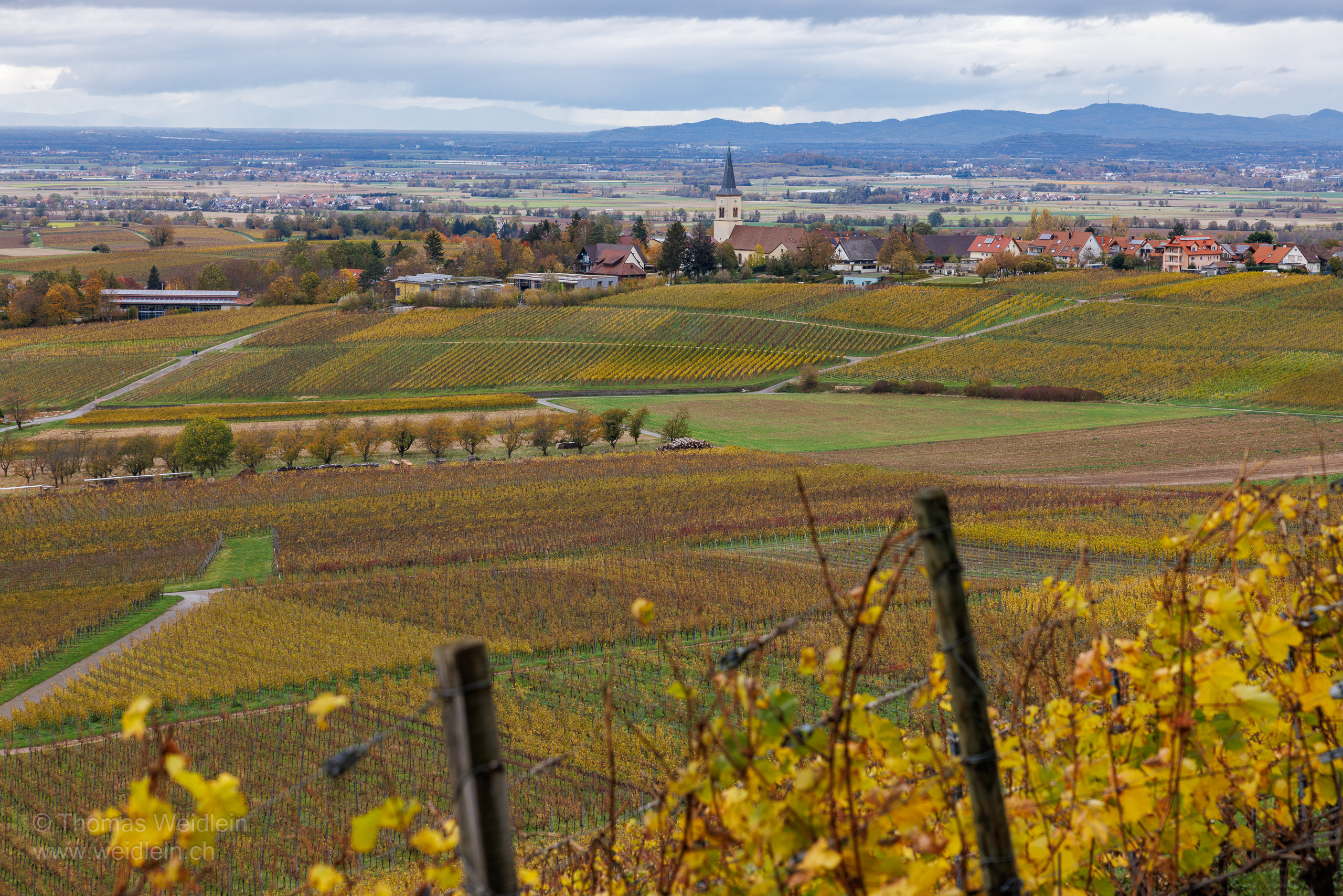 Sulzburg 4