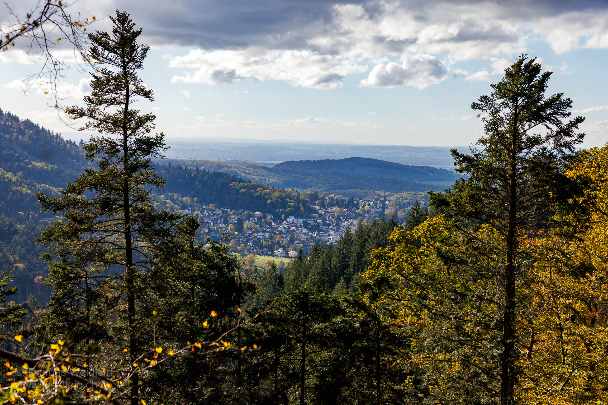 Sulzburg 5