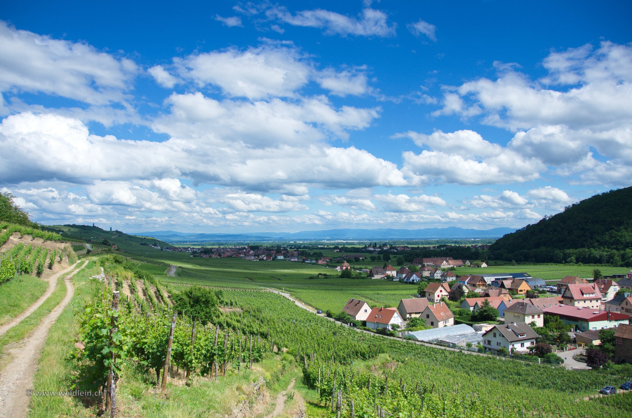 Elsass 09