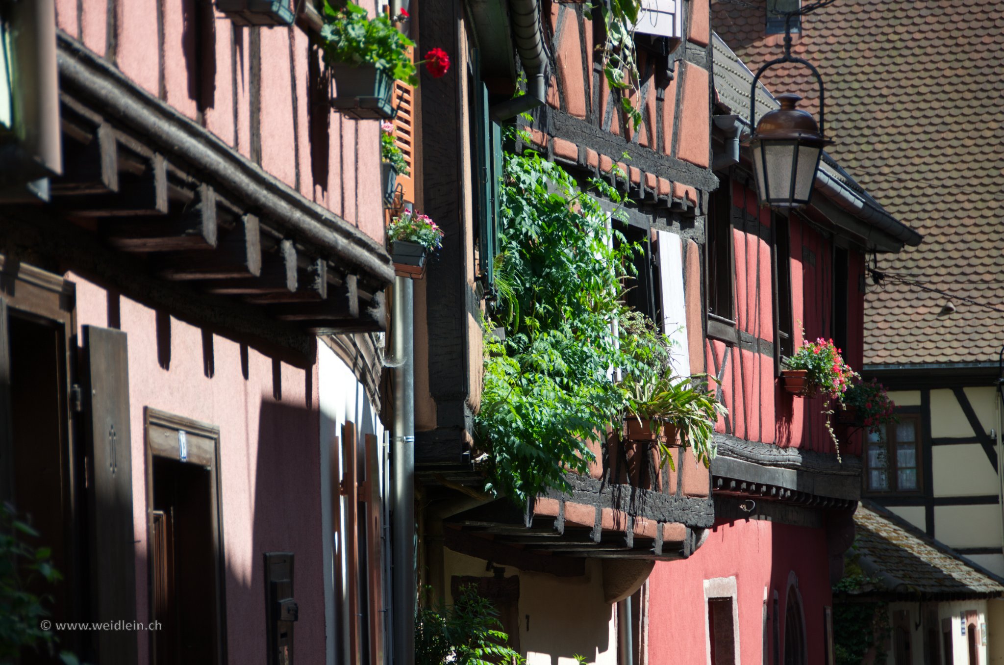 Elsass 10