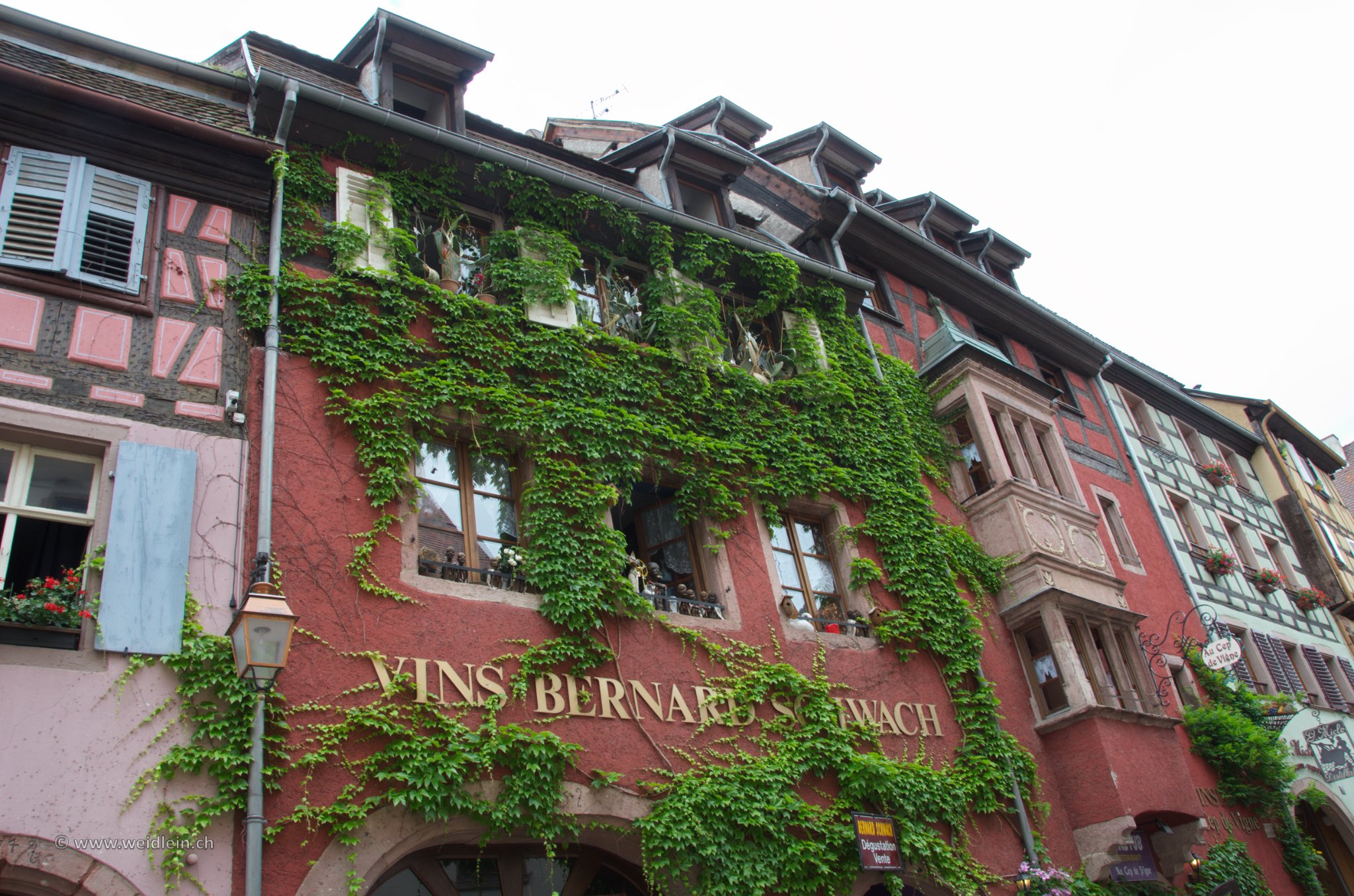 Elsass 14