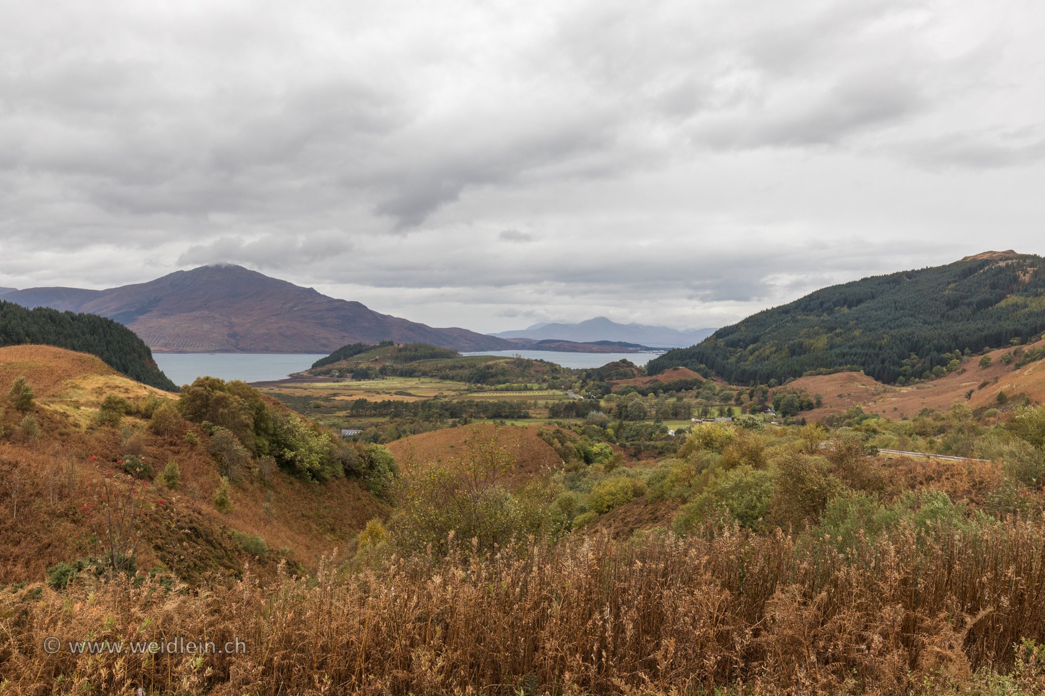 Scotland 9