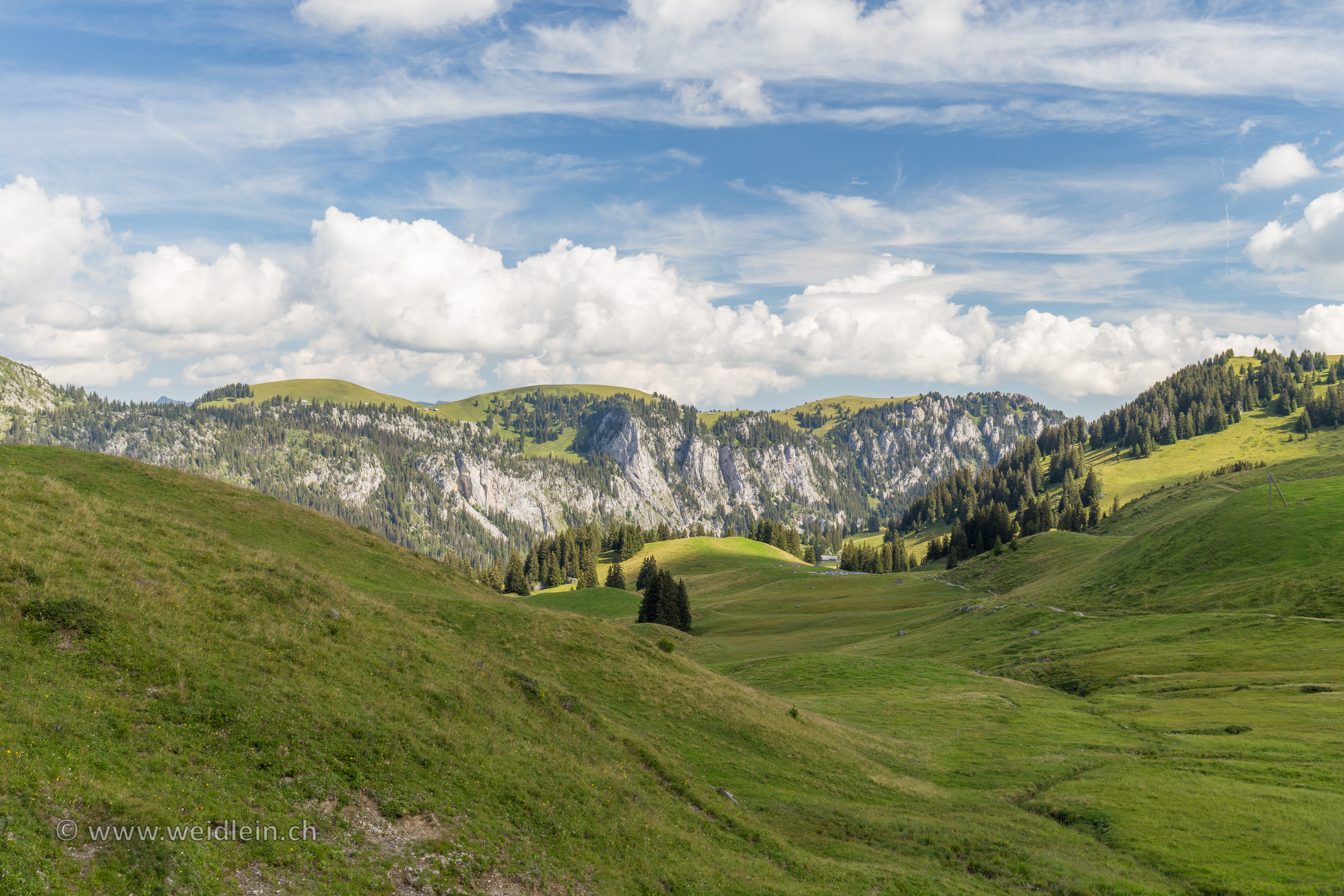 Diemtigtal