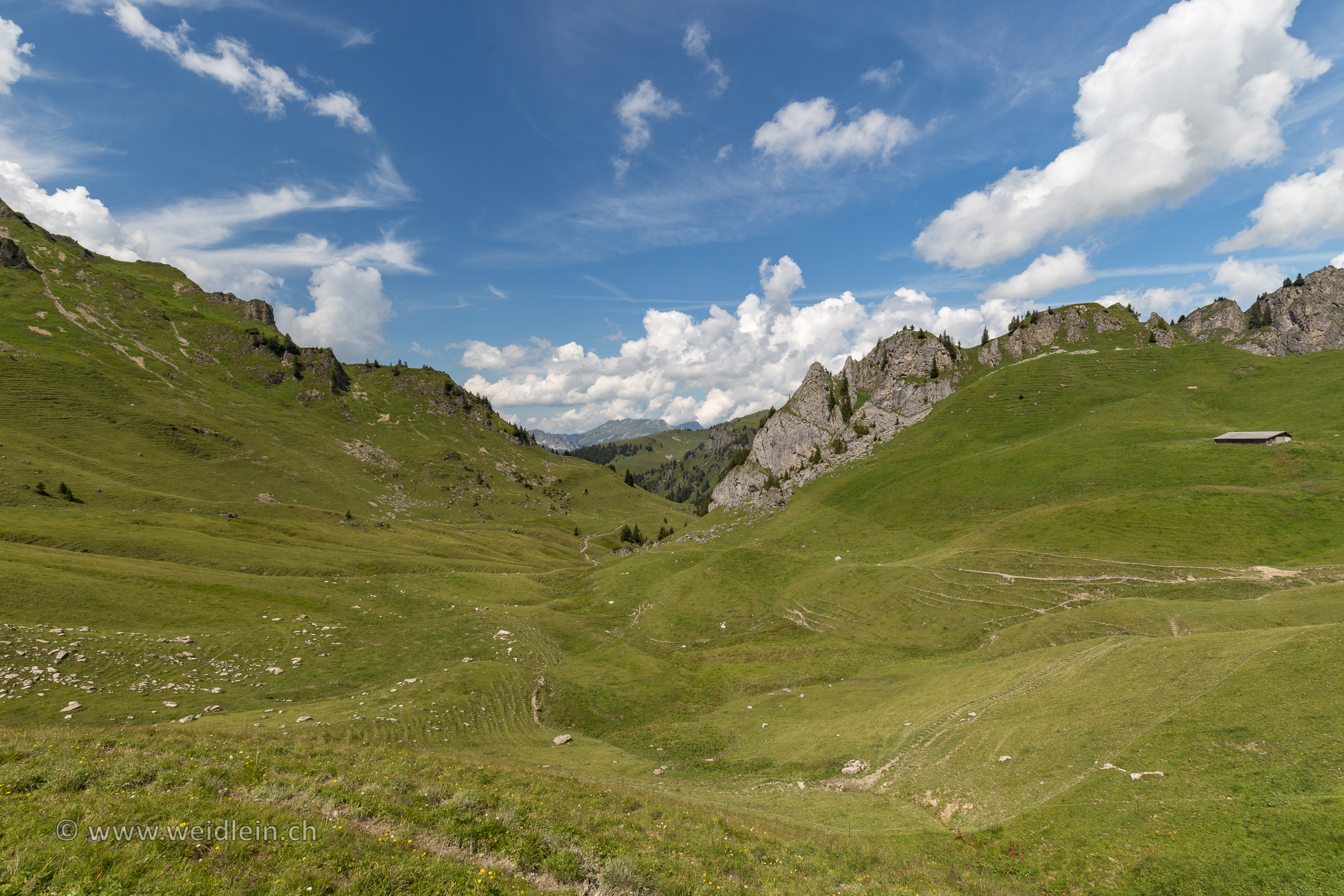 Diemtigtal