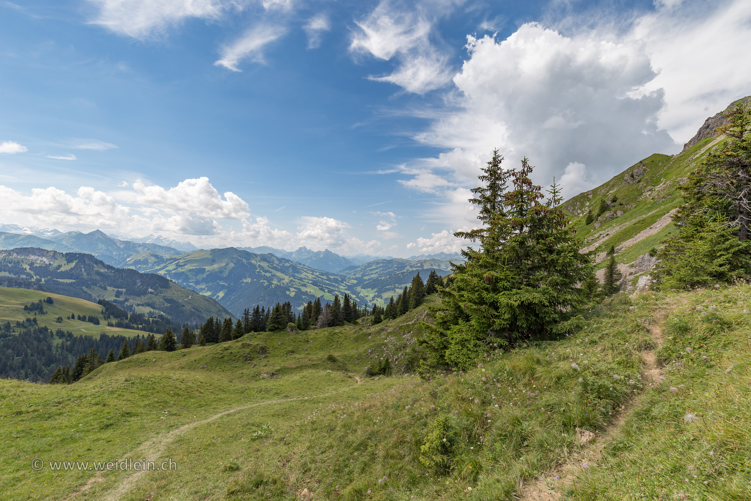 Diemtigtal