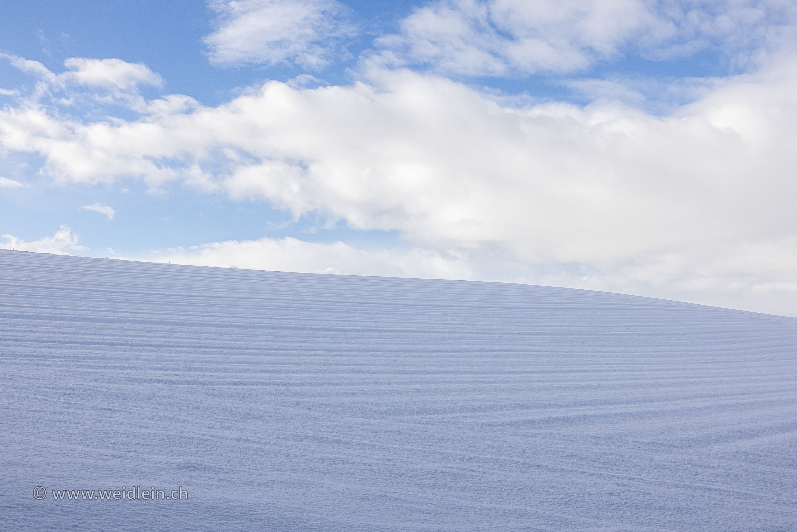 Shades of White
