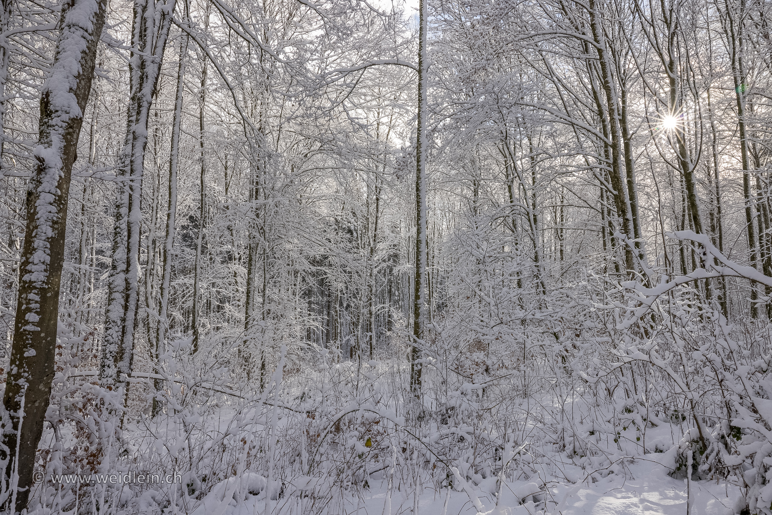 Snow