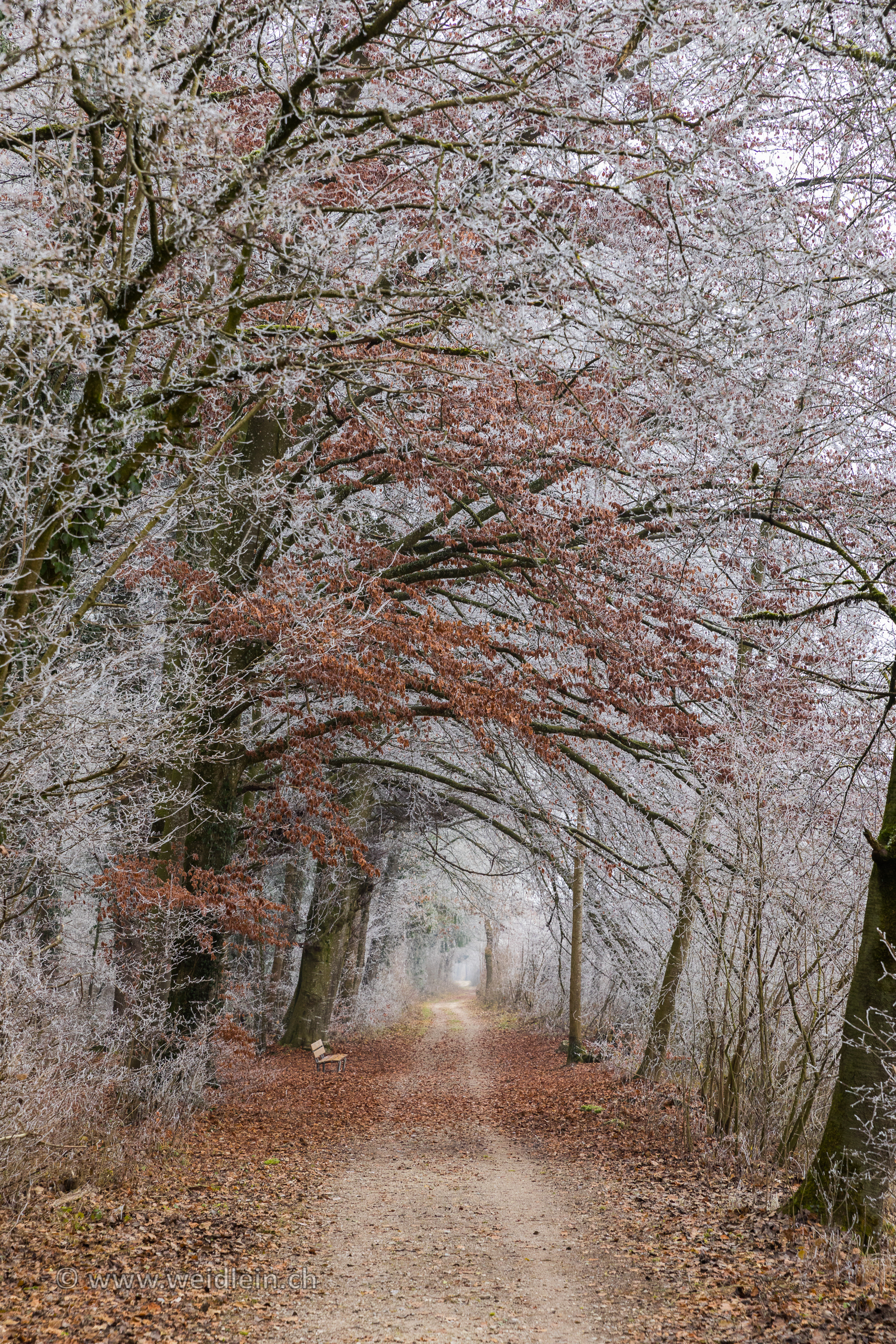 Take a seat, breathe, and then walk your way
