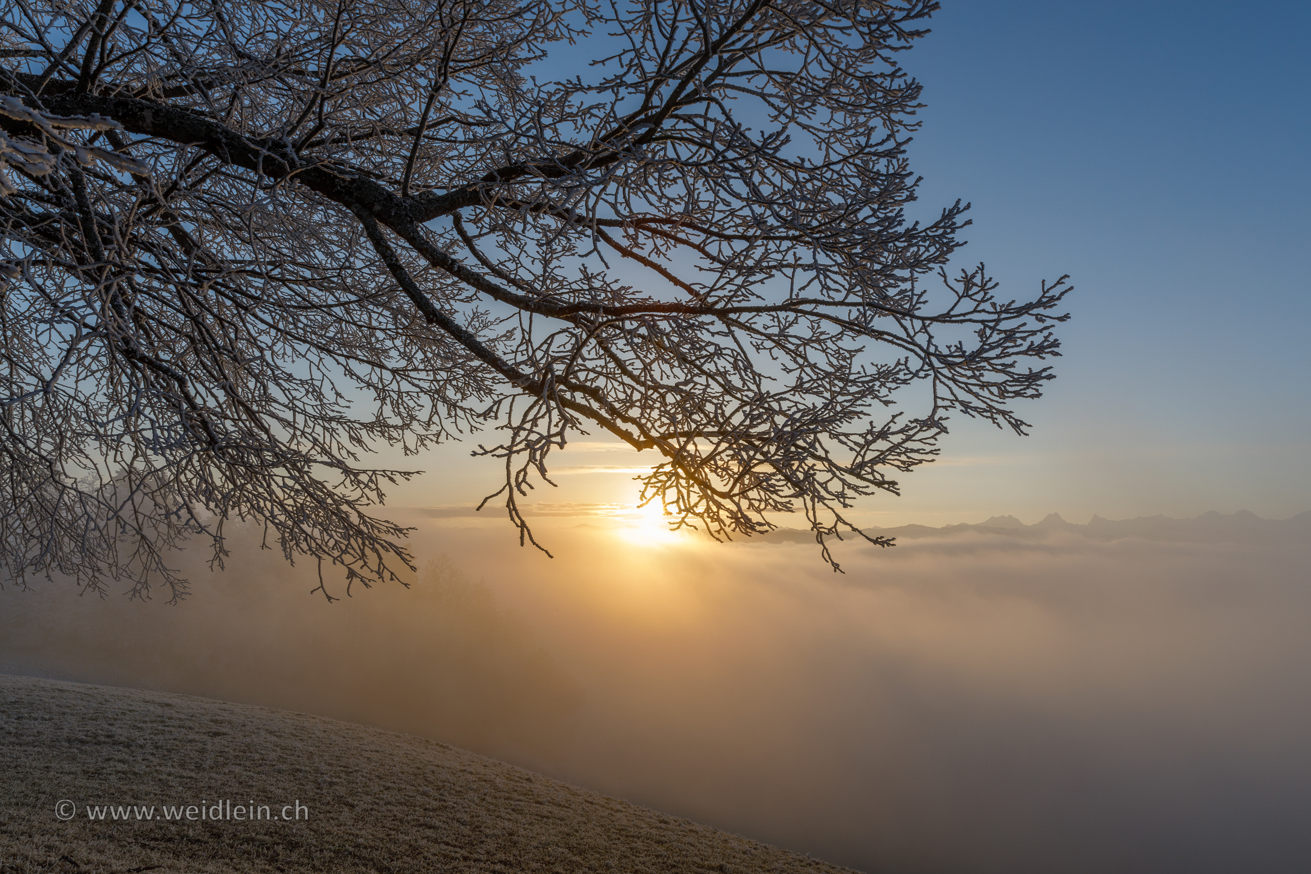 Winter Morning on Top of the Lueg