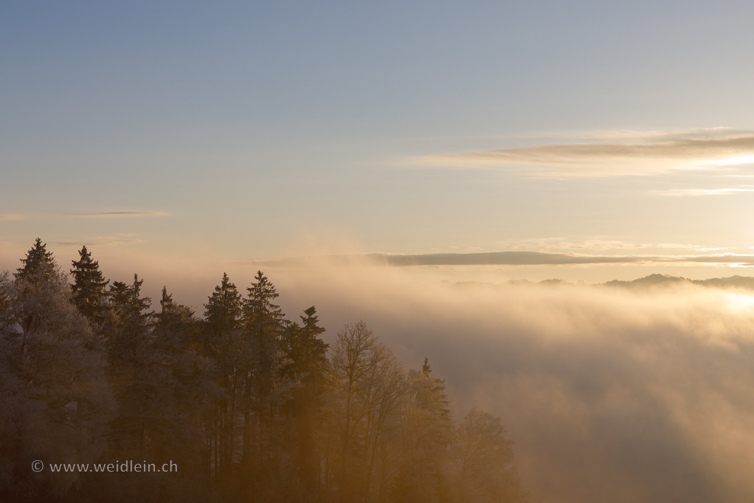 Winter Morning on Top of the Lueg