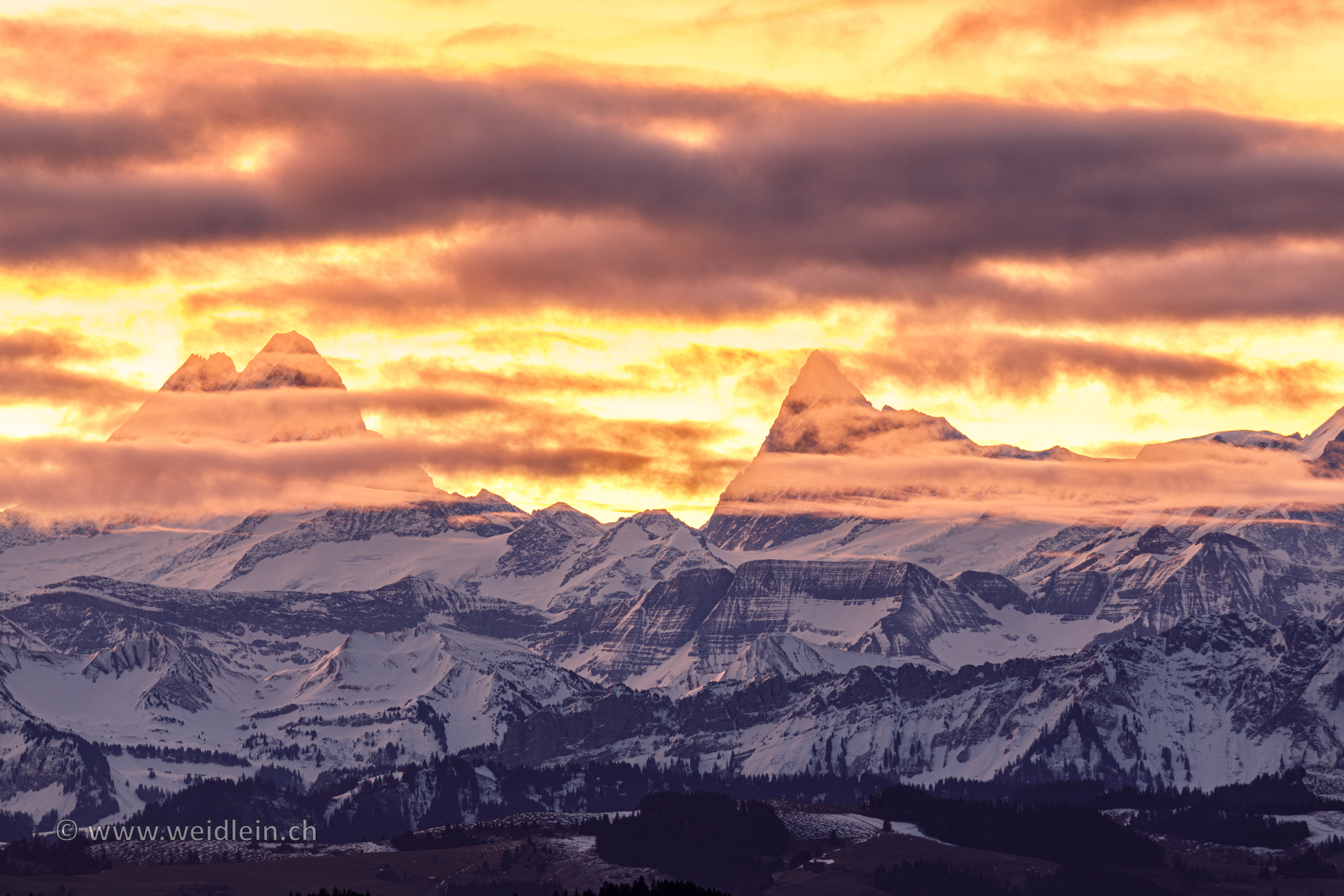 Golden Mountains