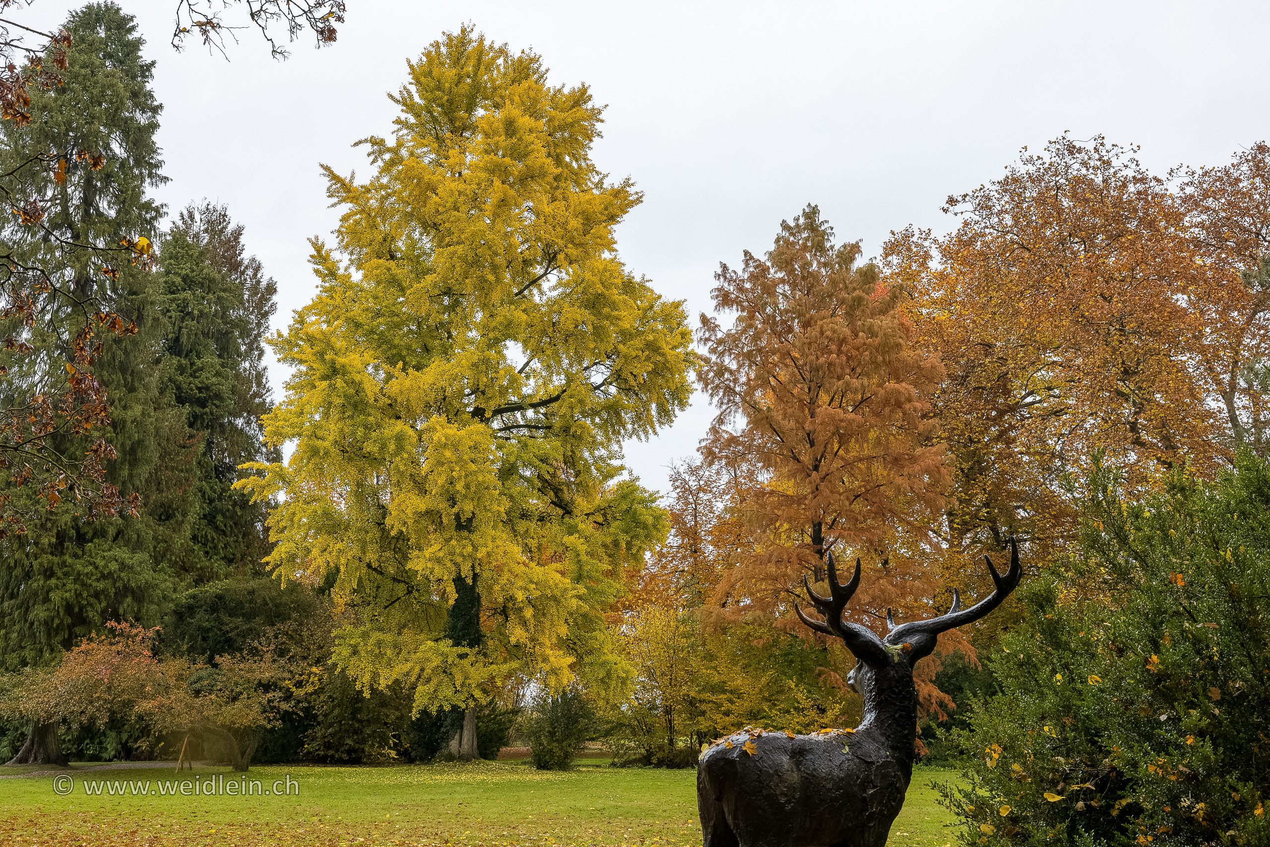 Landshut 3