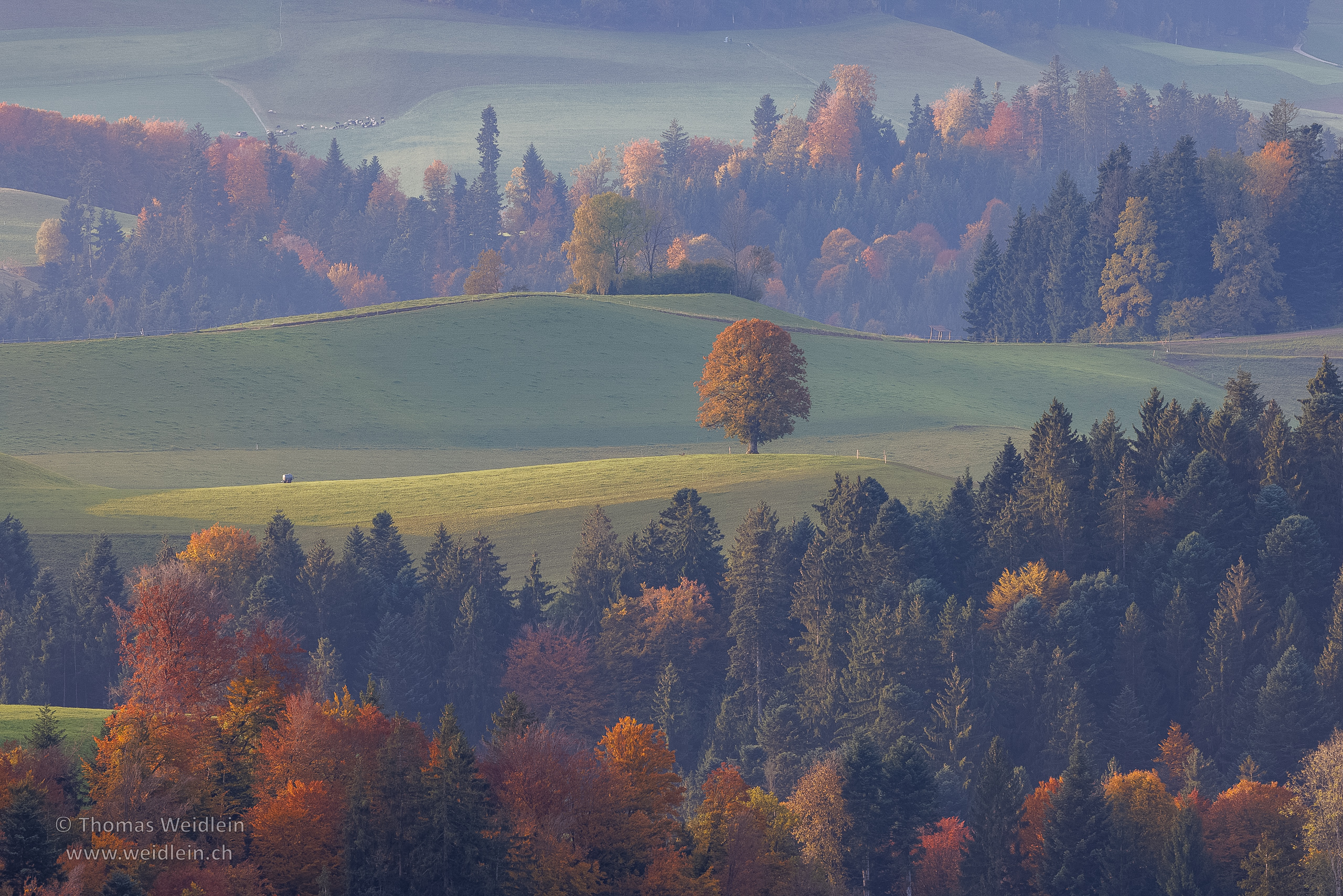 Lueg.Autumn 2