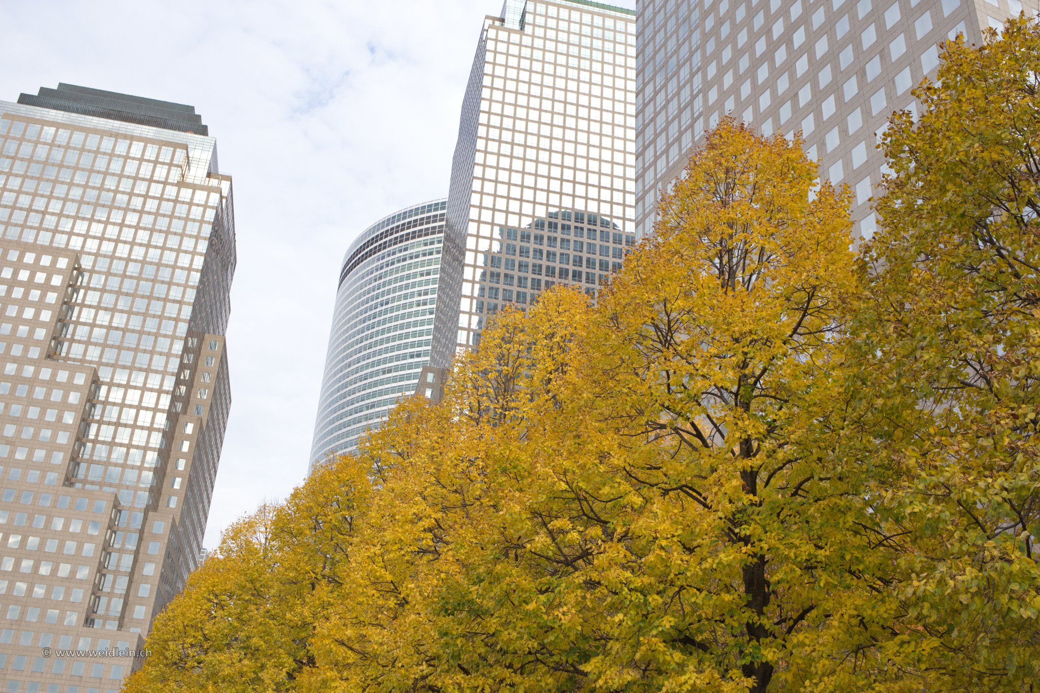 2014 NYC 24